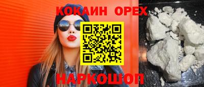 сатива Котовск