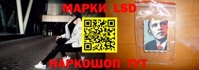 прущие грибы Кудымкар