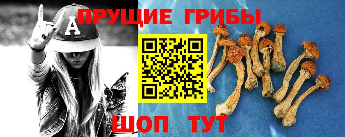 Галлюциногенные грибы прущие грибы Куйбышев